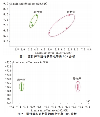 借助 AIRSENSE 电子鼻解析大熊猫偏爱的竹子气味特征